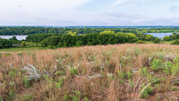 Dunes overlooking Mooers Lake on a cloudy day