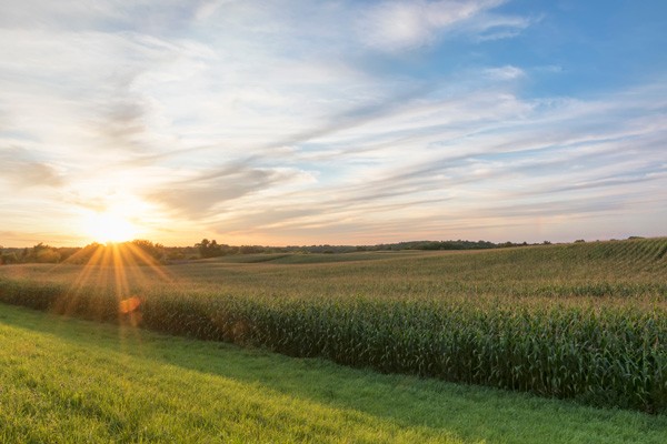 Sunrise in a Minnesota farmland