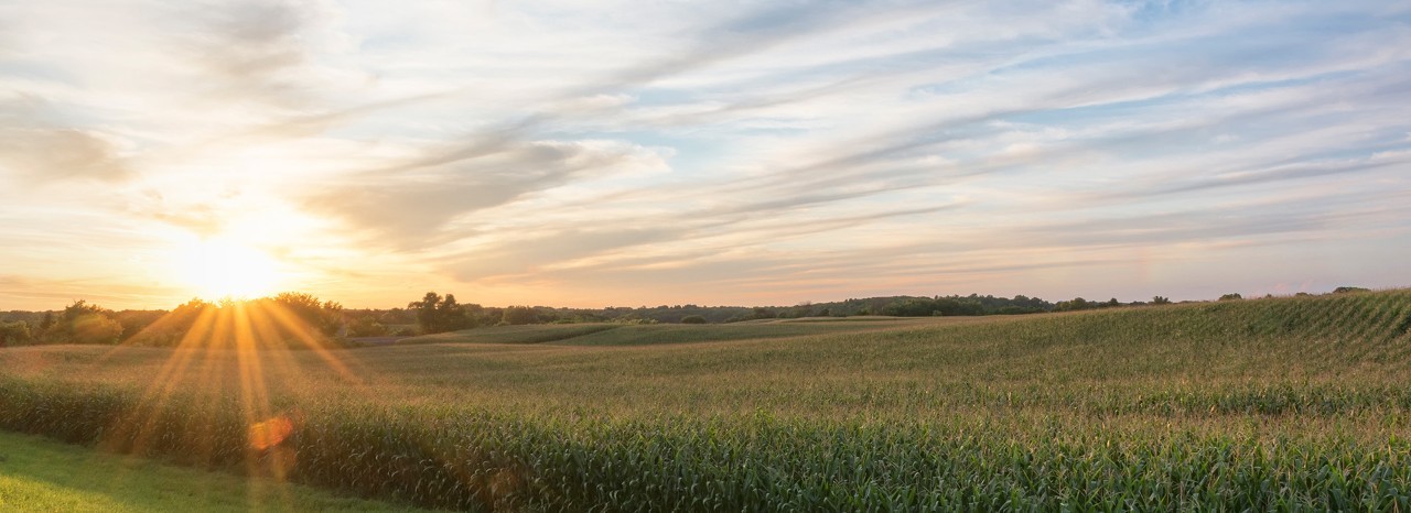 A sunset over expansive Minnesota farmland.